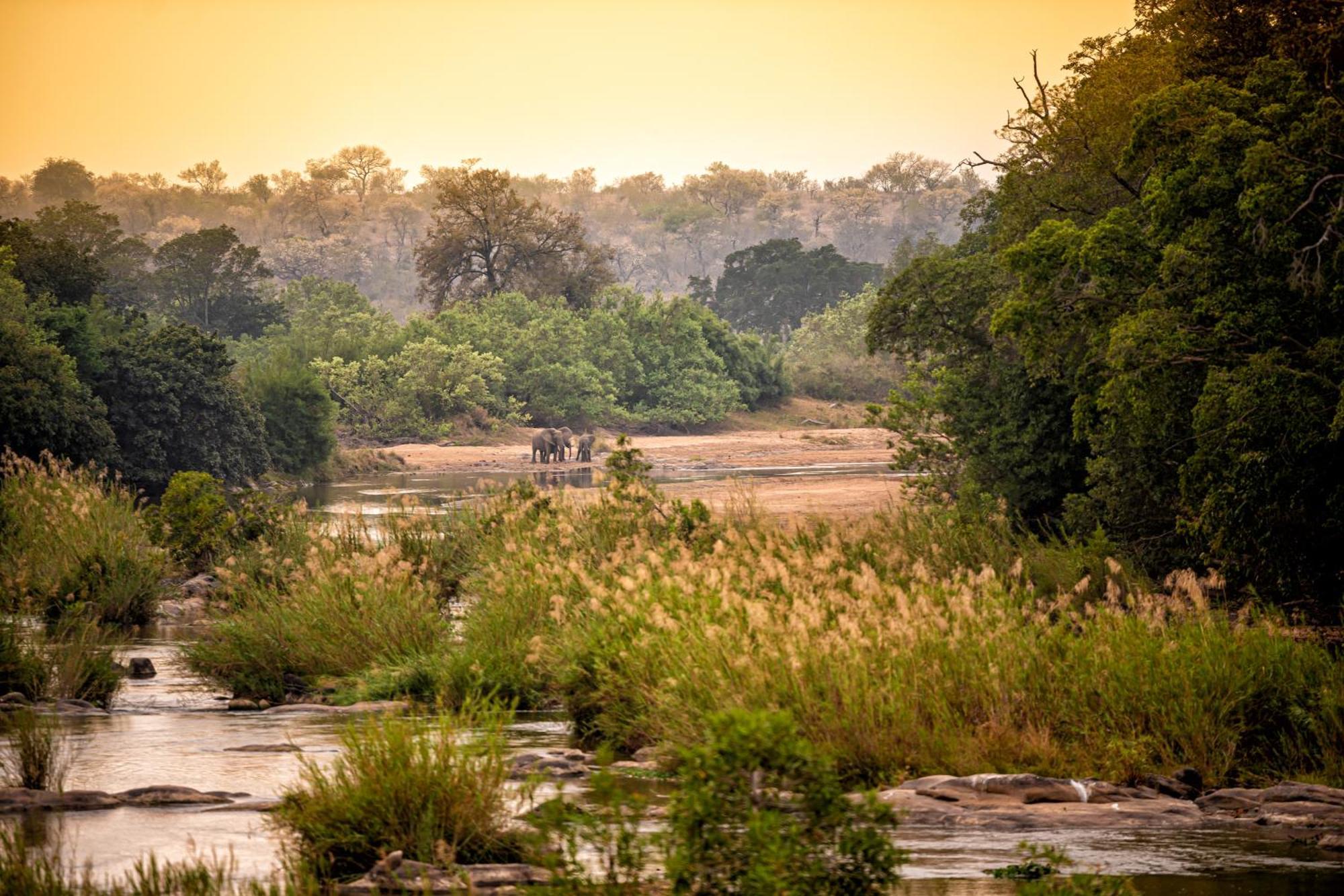 Rhino Post Safari Lodge Скукуза Екстер'єр фото