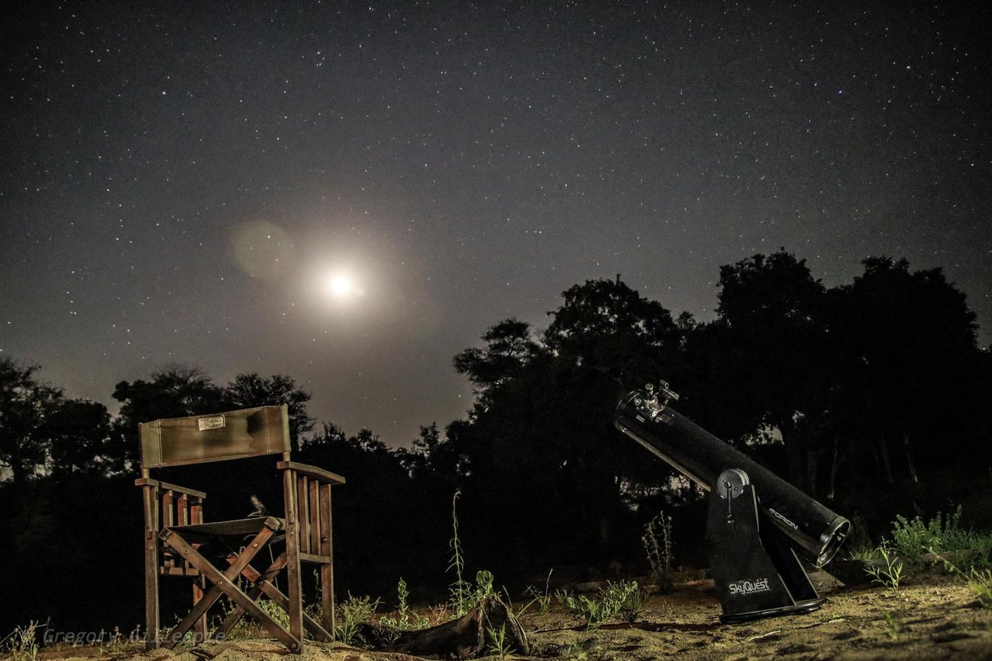 Rhino Post Safari Lodge Скукуза Екстер'єр фото