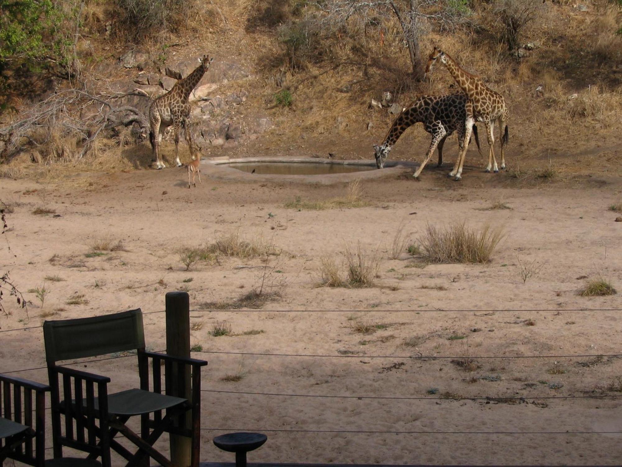 Rhino Post Safari Lodge Скукуза Екстер'єр фото