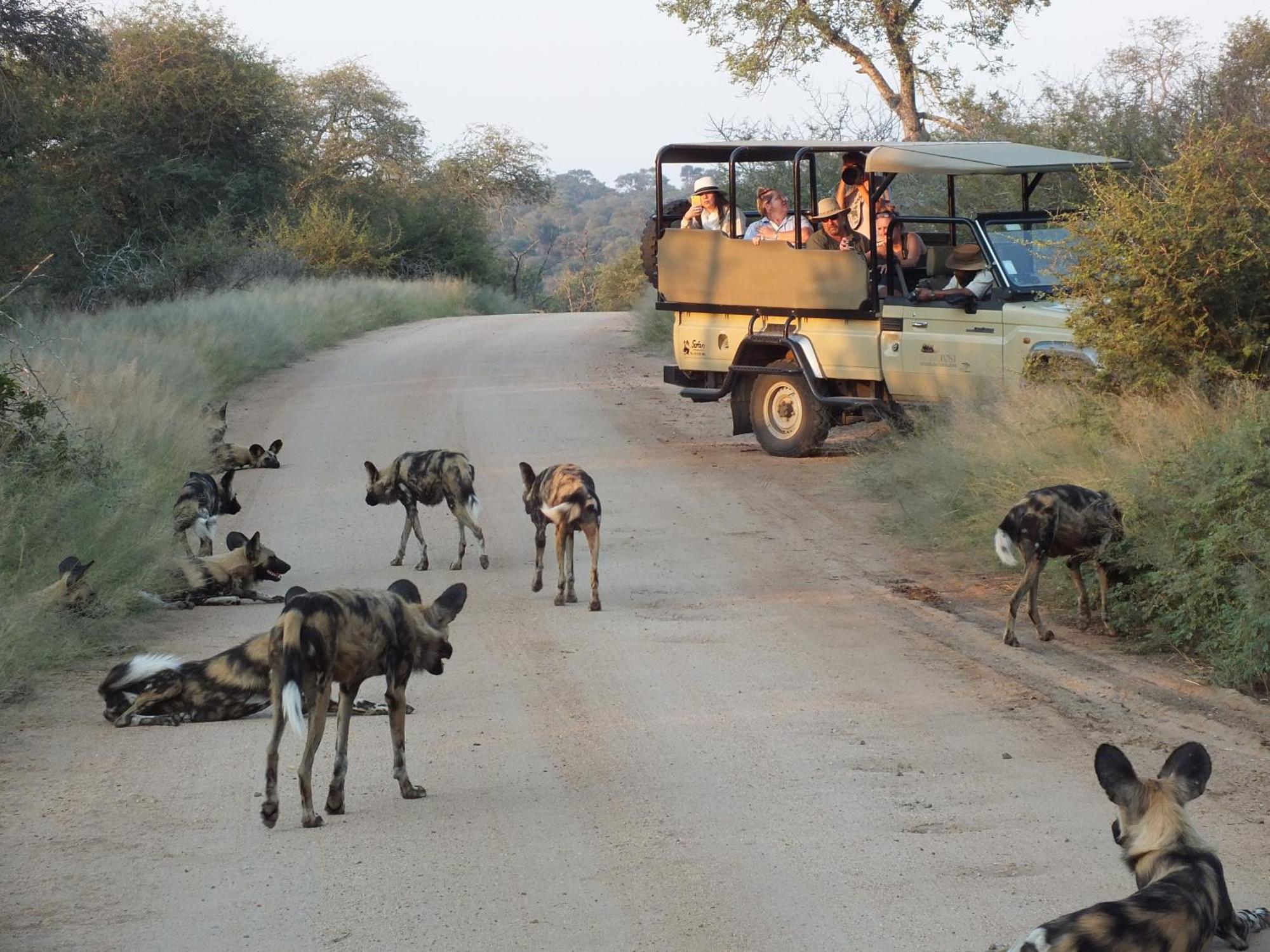 Rhino Post Safari Lodge Скукуза Екстер'єр фото