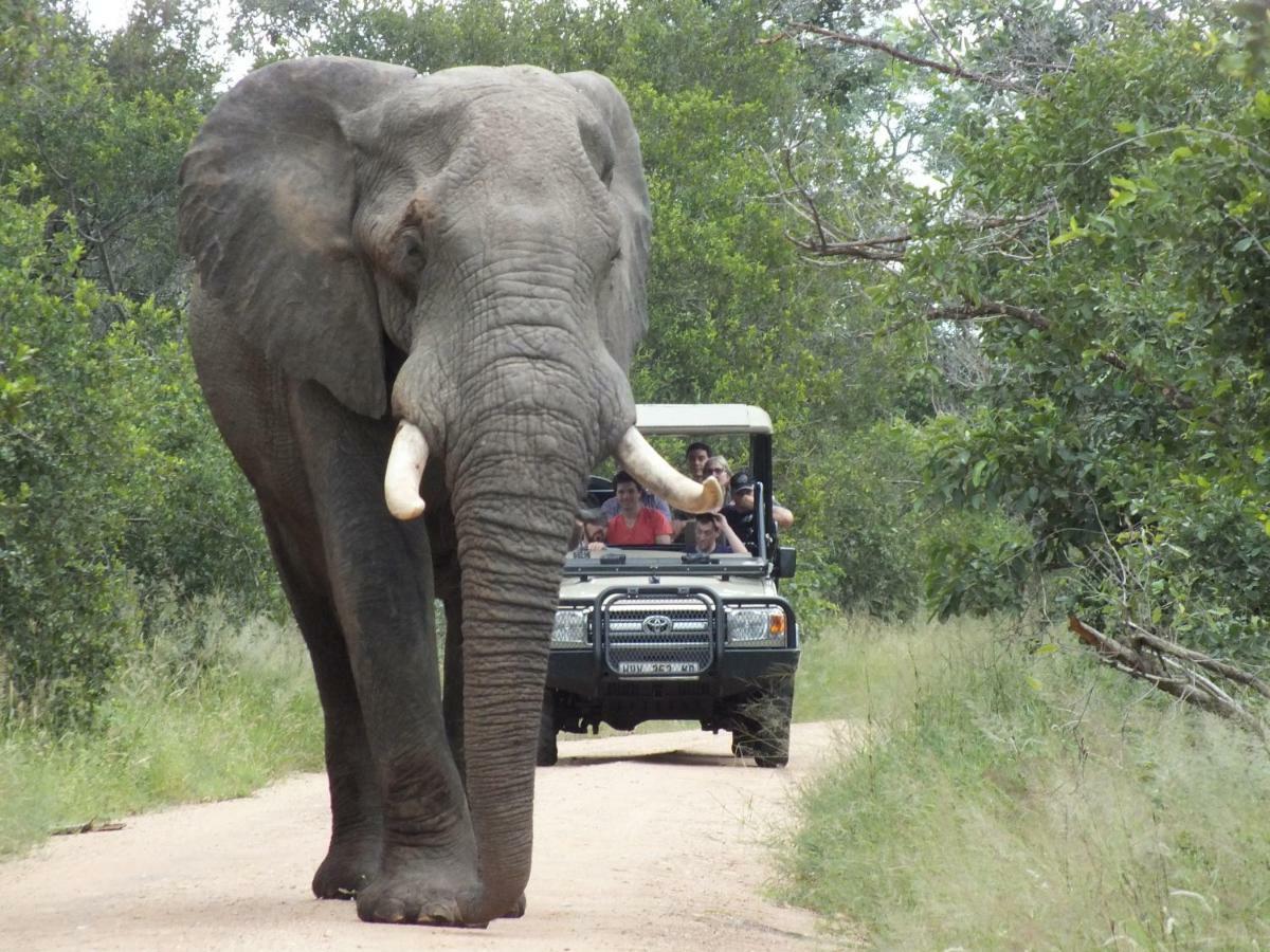 Rhino Post Safari Lodge Скукуза Екстер'єр фото